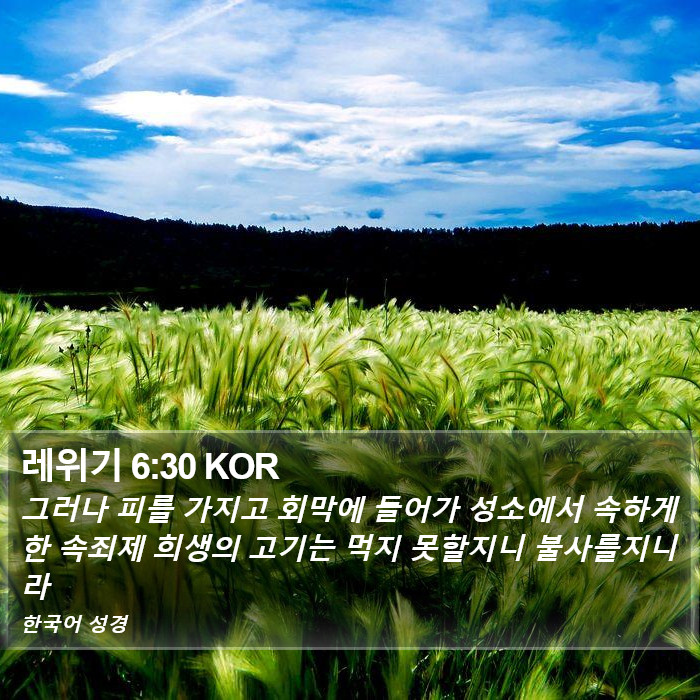 레위기 6:30 KOR Bible Study
