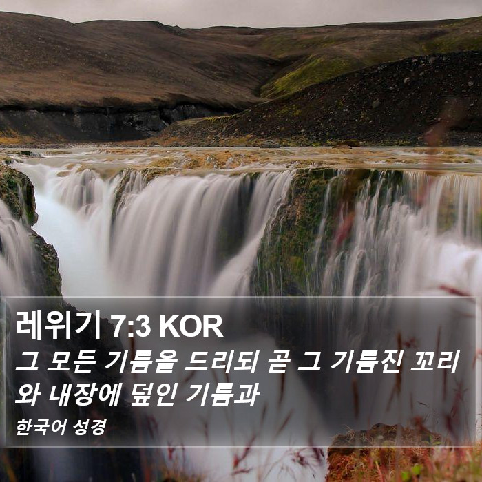 레위기 7:3 KOR Bible Study