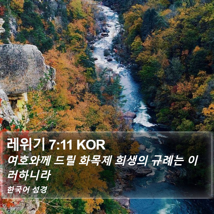 레위기 7:11 KOR Bible Study