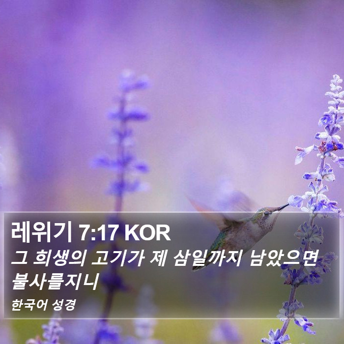 레위기 7:17 KOR Bible Study