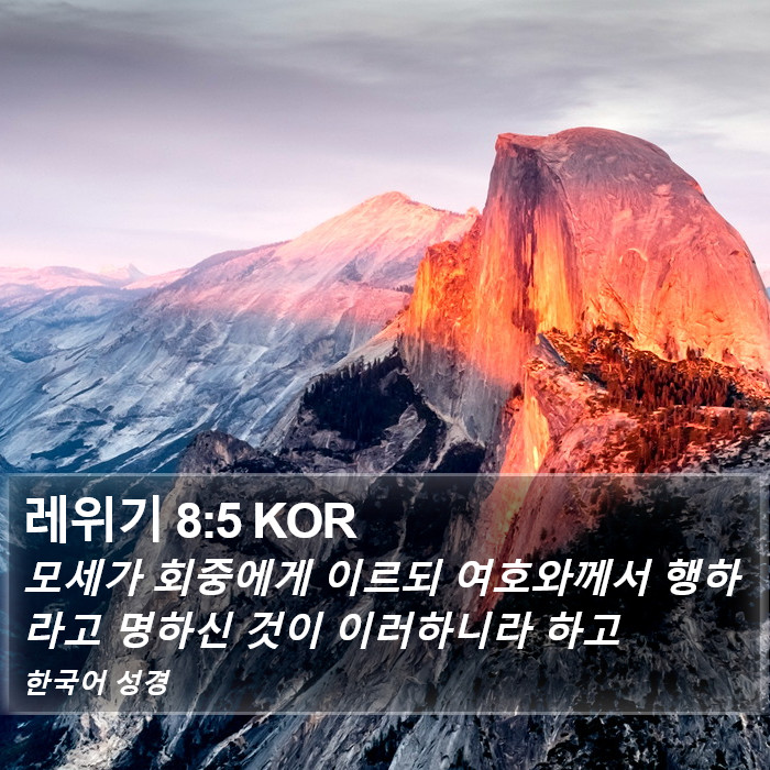 레위기 8:5 KOR Bible Study