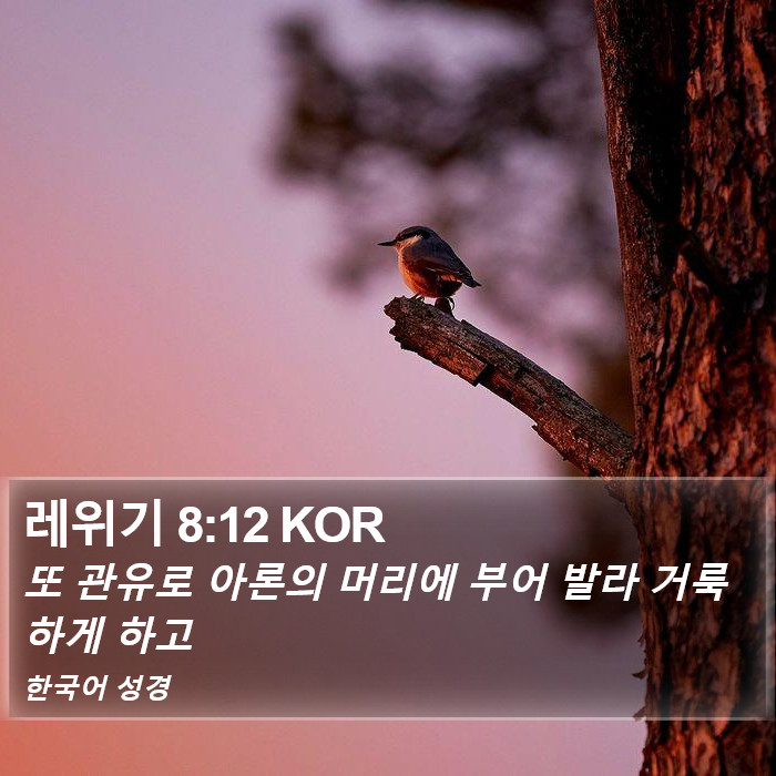 레위기 8:12 KOR Bible Study