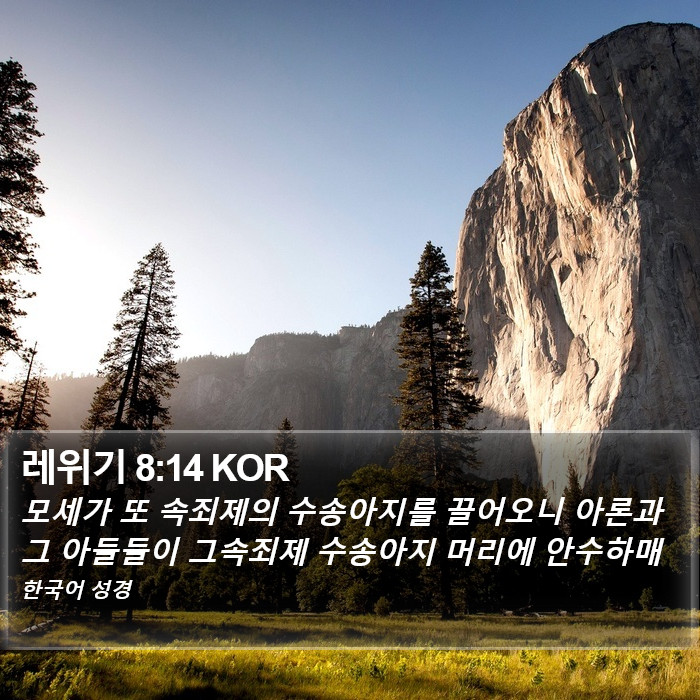 레위기 8:14 KOR Bible Study