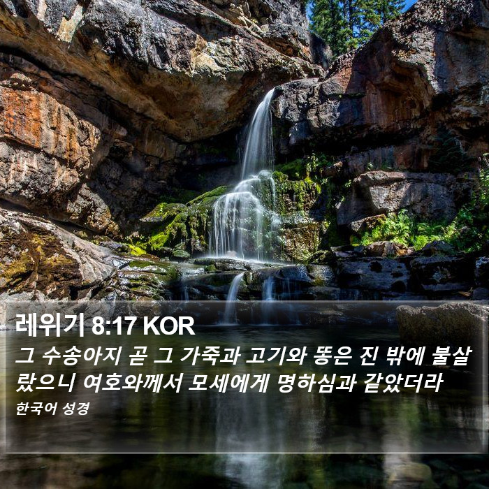 레위기 8:17 KOR Bible Study