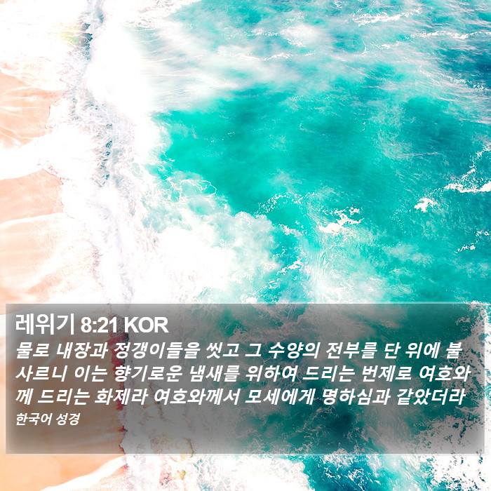 레위기 8:21 KOR Bible Study