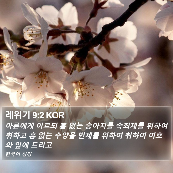 레위기 9:2 KOR Bible Study