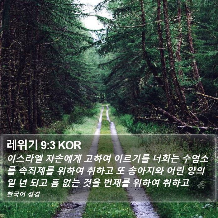 레위기 9:3 KOR Bible Study