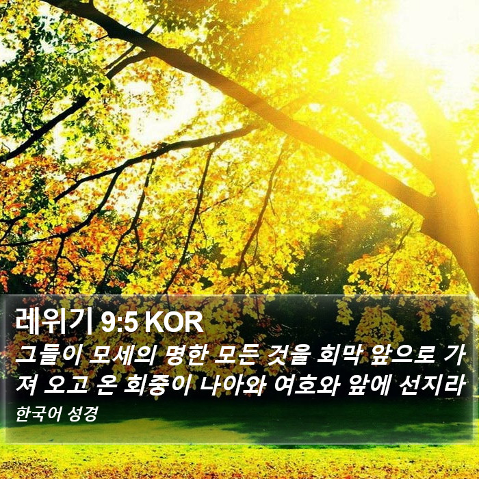 레위기 9:5 KOR Bible Study