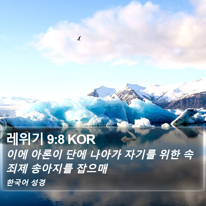 레위기 9:8 KOR Bible Study