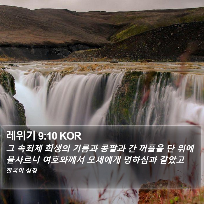 레위기 9:10 KOR Bible Study