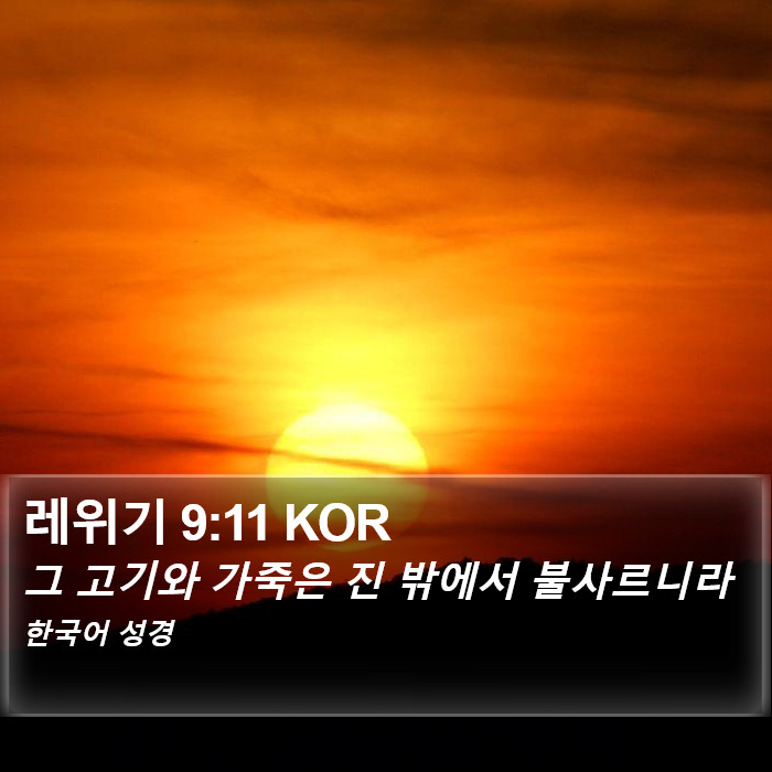레위기 9:11 KOR Bible Study