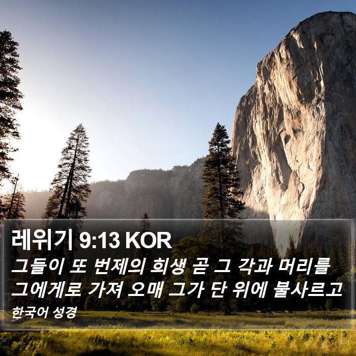 레위기 9:13 KOR Bible Study