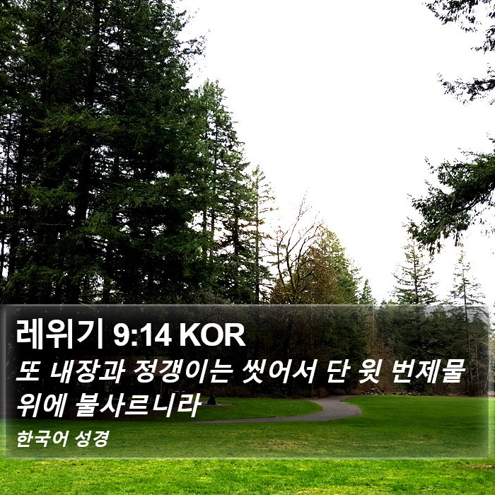 레위기 9:14 KOR Bible Study