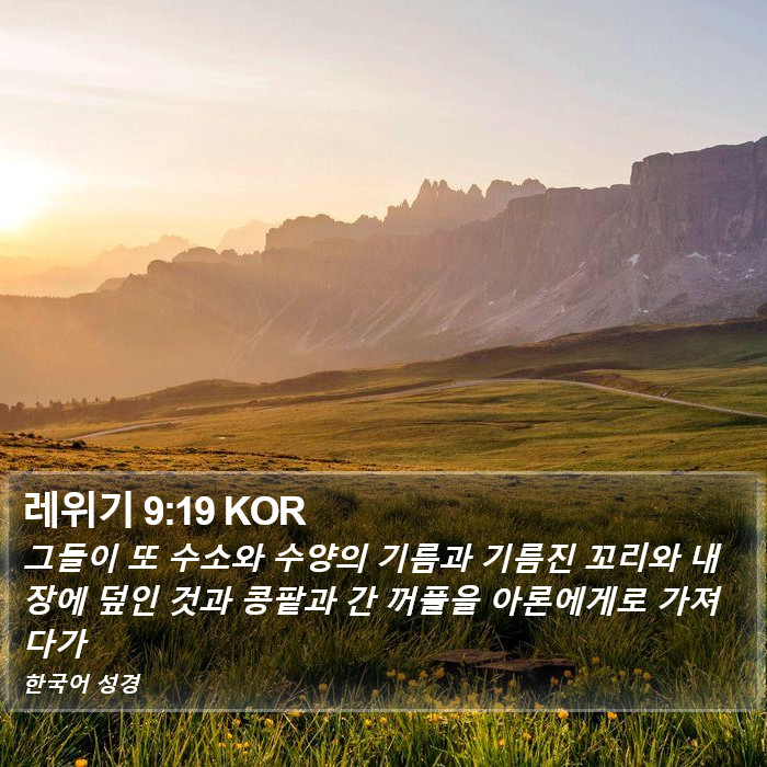 레위기 9:19 KOR Bible Study