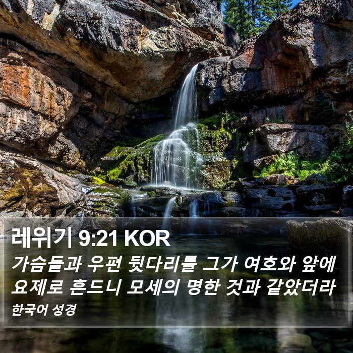 레위기 9:21 KOR Bible Study