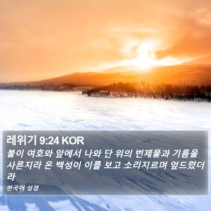 레위기 9:24 KOR Bible Study
