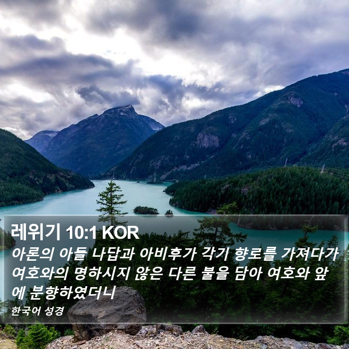 레위기 10:1 KOR Bible Study
