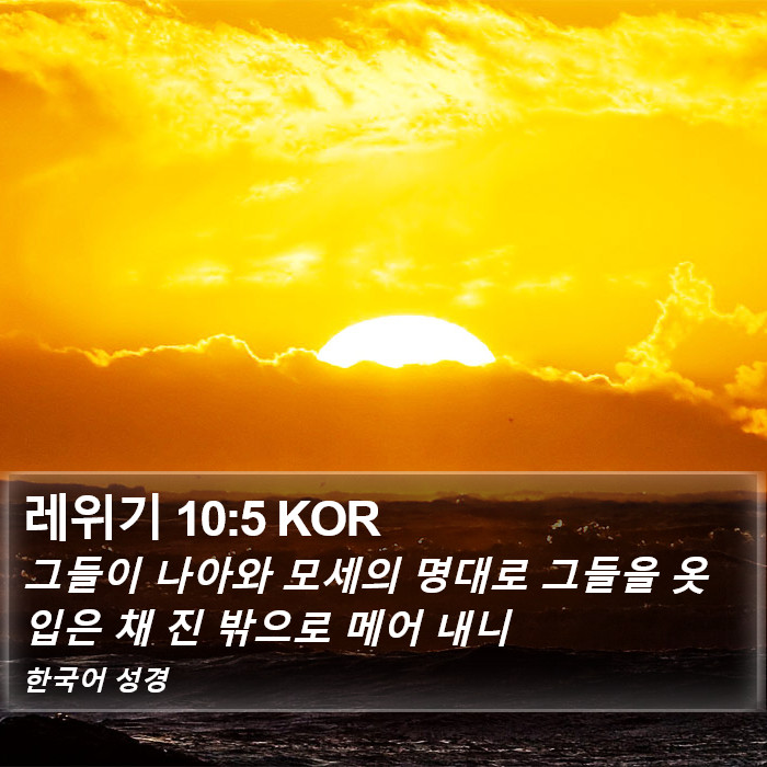 레위기 10:5 KOR Bible Study