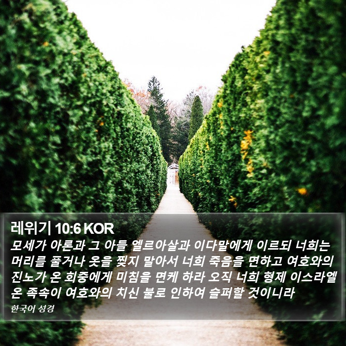레위기 10:6 KOR Bible Study