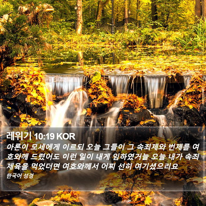레위기 10:19 KOR Bible Study