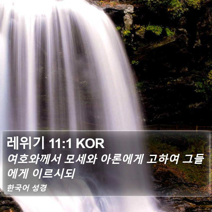 레위기 11:1 KOR Bible Study