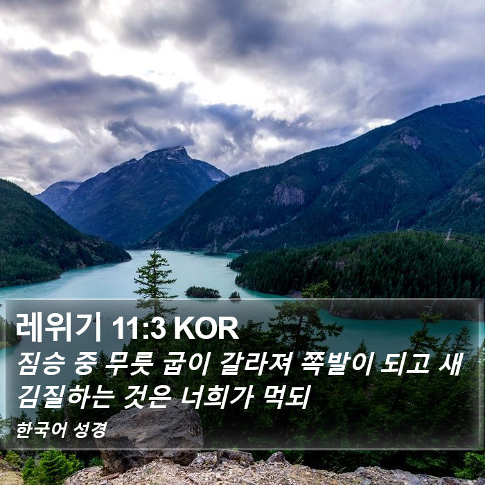 레위기 11:3 KOR Bible Study