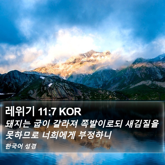 레위기 11:7 KOR Bible Study