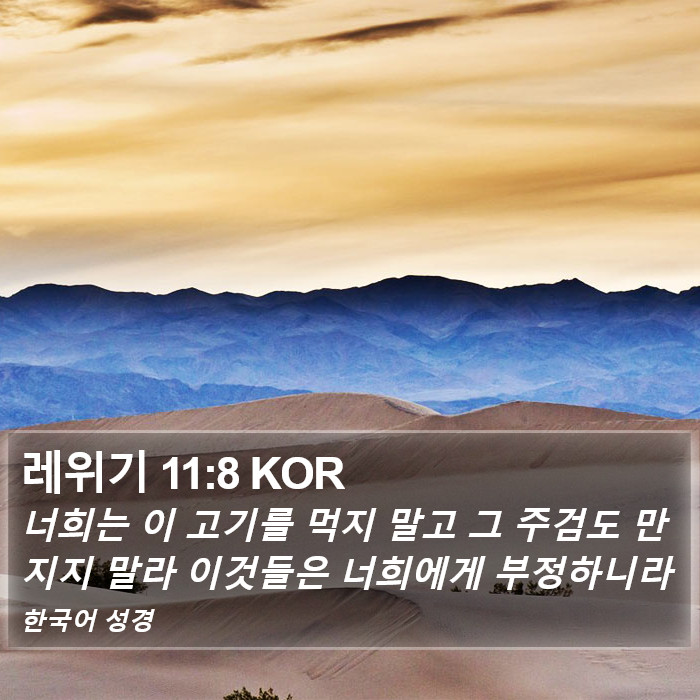 레위기 11:8 KOR Bible Study