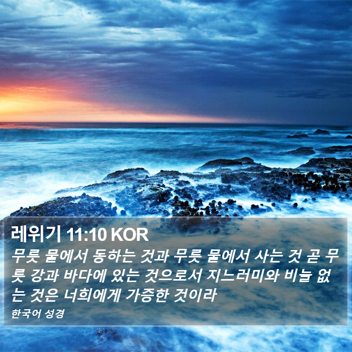 레위기 11:10 KOR Bible Study