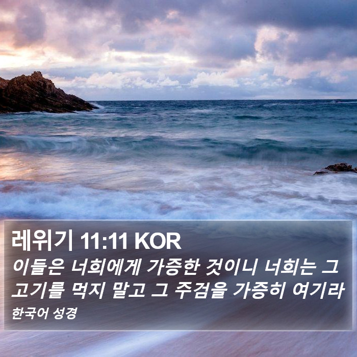 레위기 11:11 KOR Bible Study