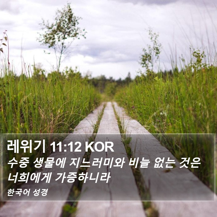 레위기 11:12 KOR Bible Study