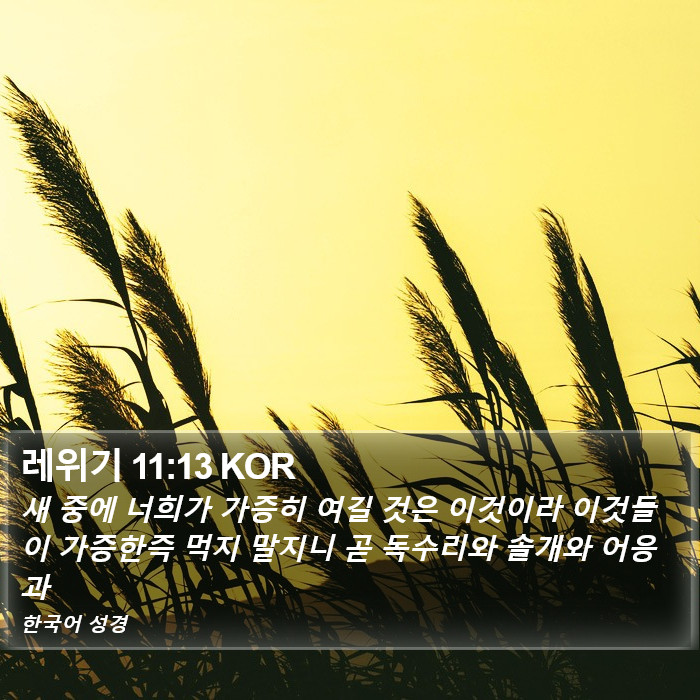 레위기 11:13 KOR Bible Study