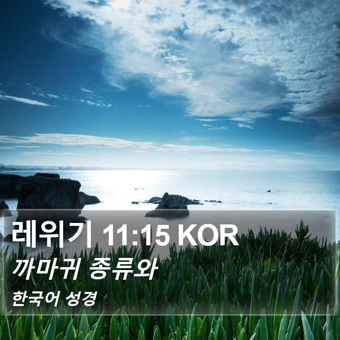 레위기 11:15 KOR Bible Study