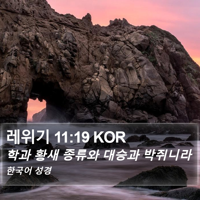 레위기 11:19 KOR Bible Study