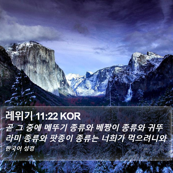 레위기 11:22 KOR Bible Study