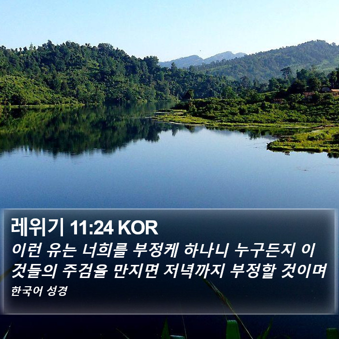 레위기 11:24 KOR Bible Study