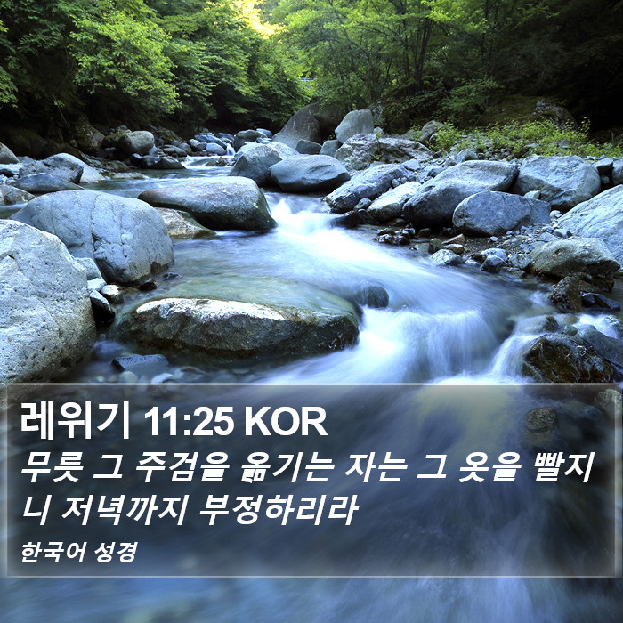 레위기 11:25 KOR Bible Study