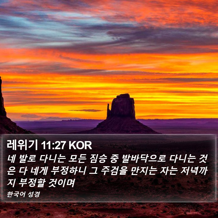 레위기 11:27 KOR Bible Study