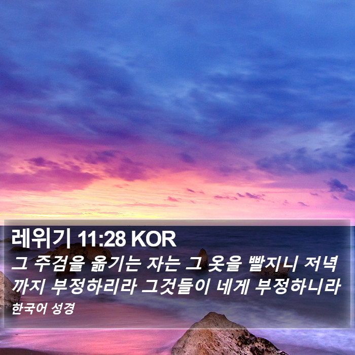 레위기 11:28 KOR Bible Study