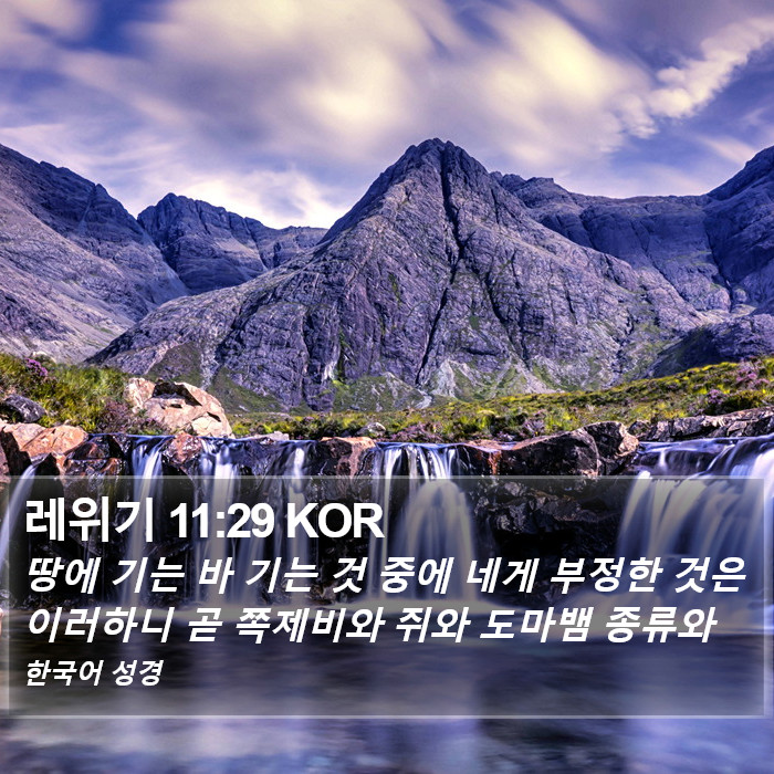 레위기 11:29 KOR Bible Study