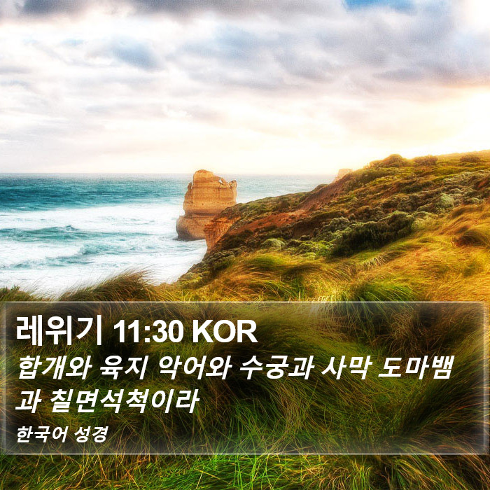 레위기 11:30 KOR Bible Study