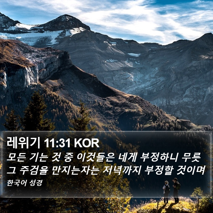 레위기 11:31 KOR Bible Study