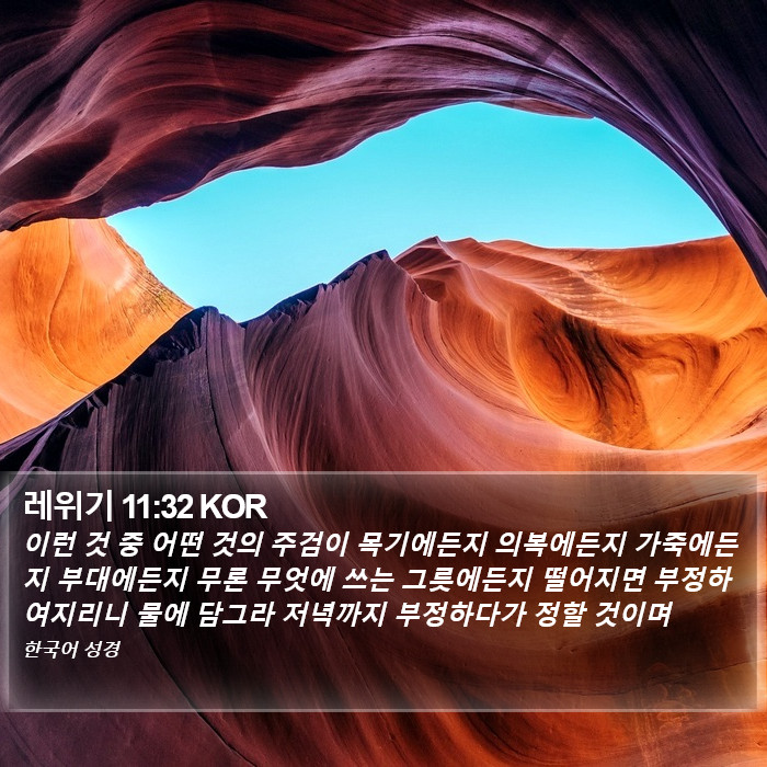 레위기 11:32 KOR Bible Study