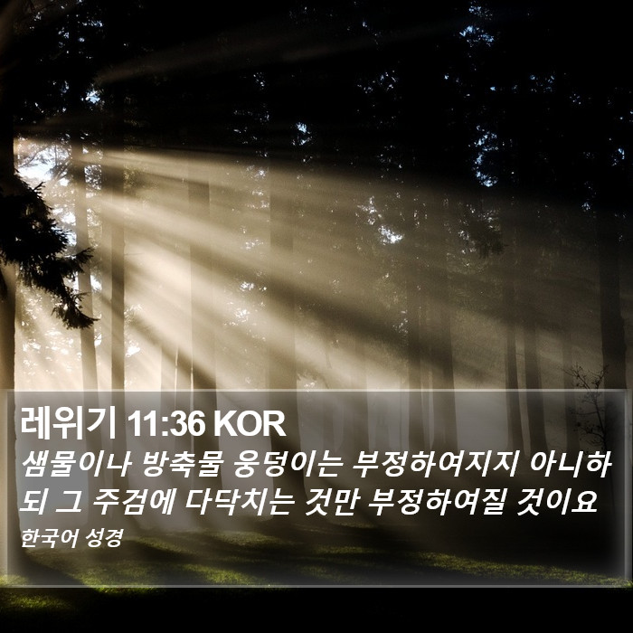 레위기 11:36 KOR Bible Study