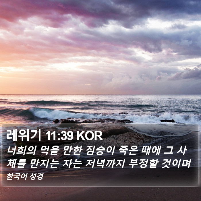 레위기 11:39 KOR Bible Study