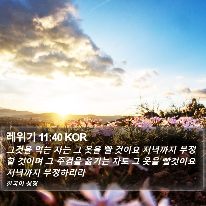 레위기 11:40 KOR Bible Study