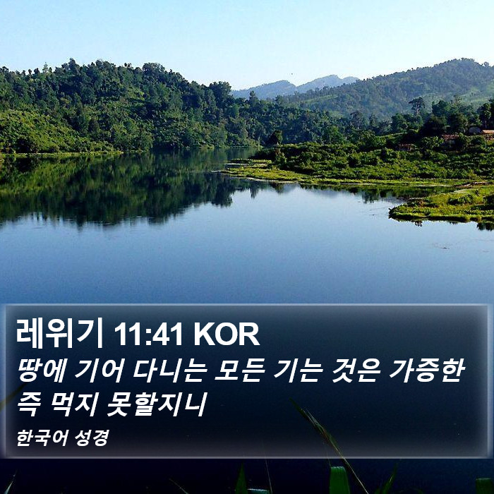 레위기 11:41 KOR Bible Study