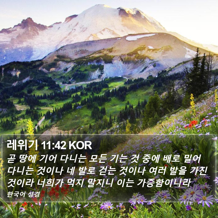 레위기 11:42 KOR Bible Study