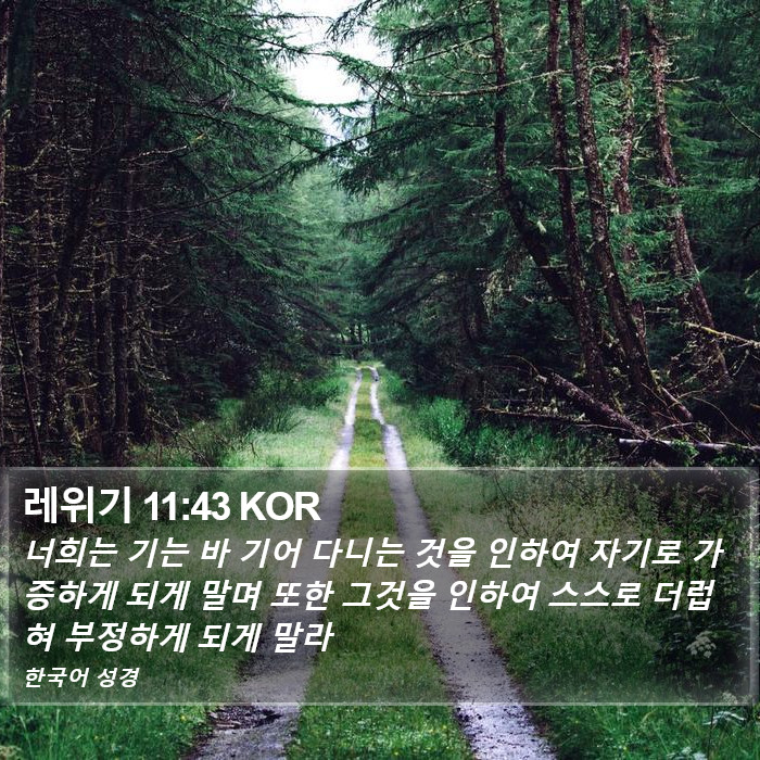 레위기 11:43 KOR Bible Study