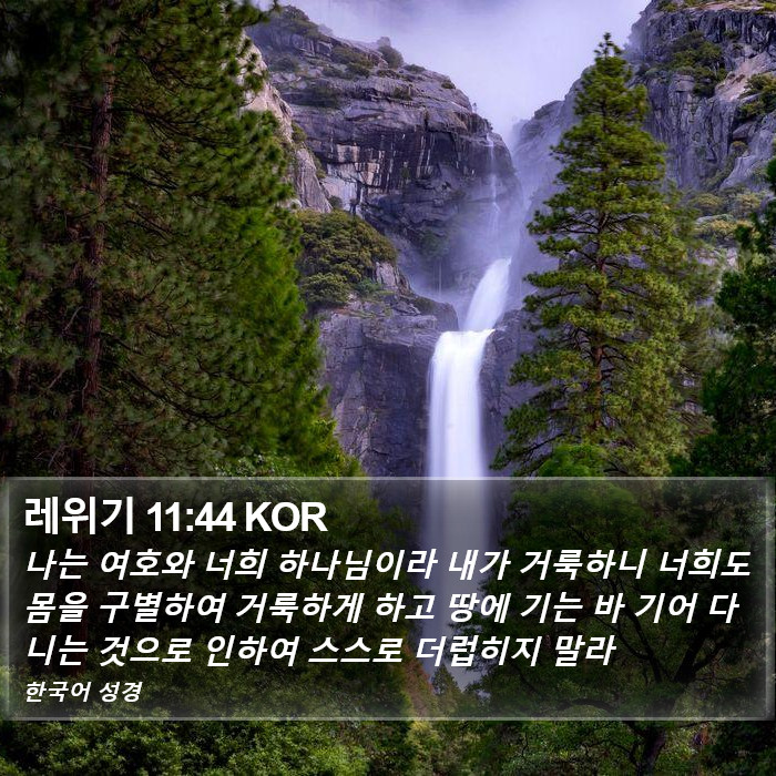 레위기 11:44 KOR Bible Study